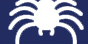 footer-spider